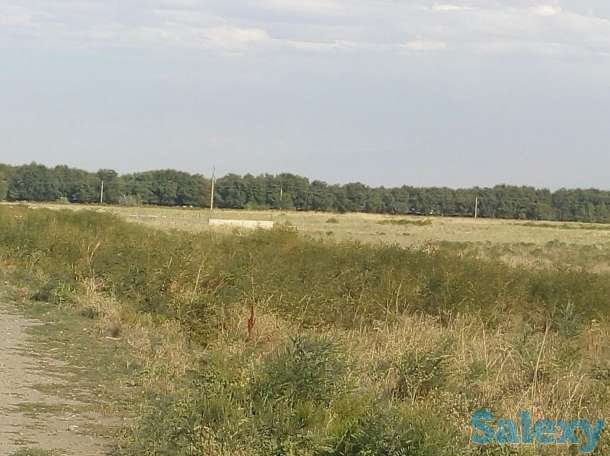 Земельные участки, делимые под Крестьянское Хозяйство, фотография 4