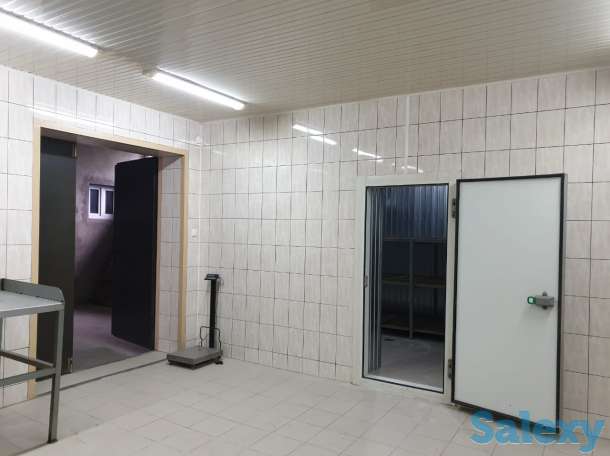 Срочно продам колбасный цех, Байзак батыра, фотография 8
