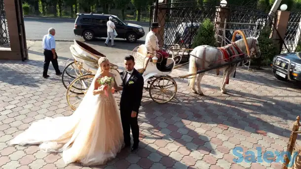 тамада, фотография 9