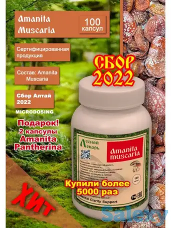 Мухомор красный в капсулах(микродозинг), фотография 1