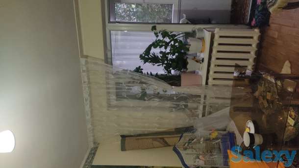 Продажа недвижимости, Кравцова 1, фотография 6