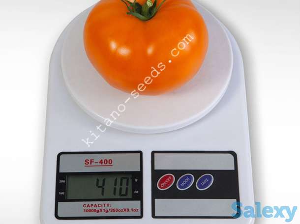Семена оранжевого низкорослого томата АЙСАН F1, KITANO SEEDS, фотография 2