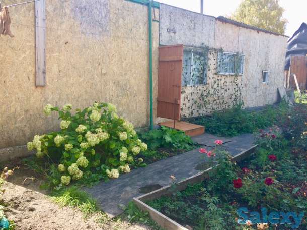 Продаётся дом в с.Секисовка (в сторону Риддера), фотография 4