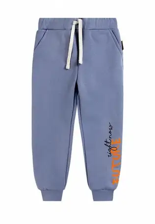 Брюки спортивные bossa nova, фотография 2