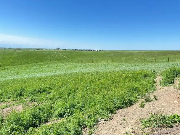 Фазенда, Кольащы, фотография 10