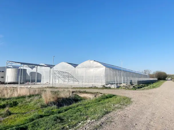 Сельскохозяйственный комплекс - Птицефабрика и теплица., фотография 8