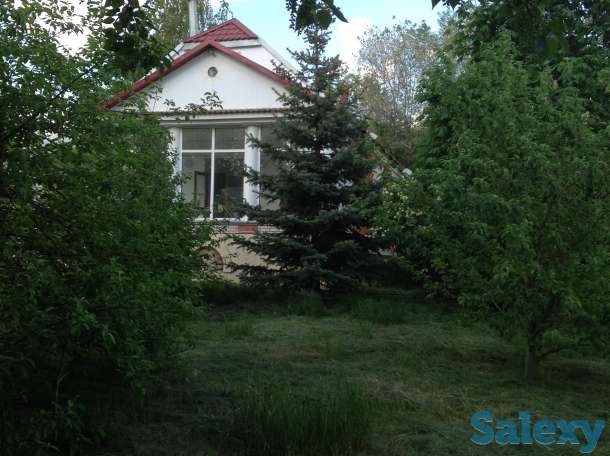 продам дом, мичурино чапаева 4/4, фотография 1