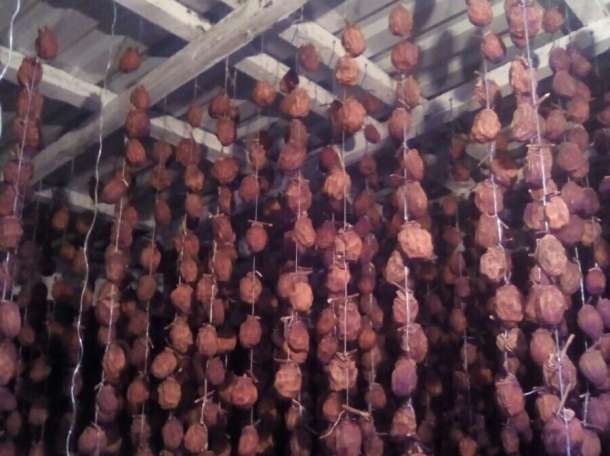 Сушильный шкаф камера С-4Км (на 220в) для мяса, овощей и пр., фотография 4