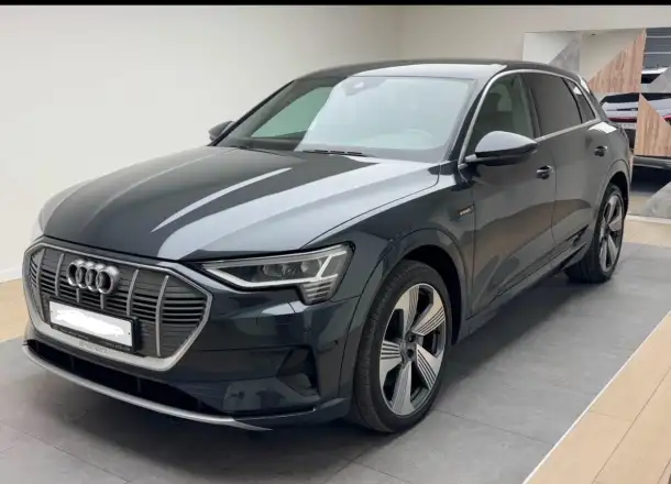 Audi e-tron, фотография 3