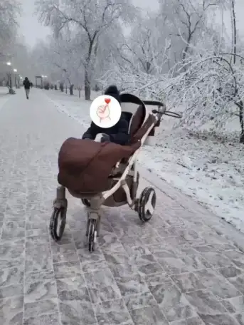 Мен арбаны тегн беремн, фотография 1