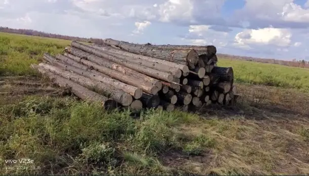 Пиломатериалы, доски, жерди, подтоварник, рудничная стойка оптом, фотография 3