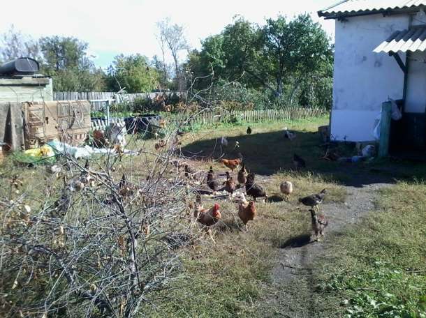 Продам Дом село Урумкай от Щучинска 35км, фотография 5