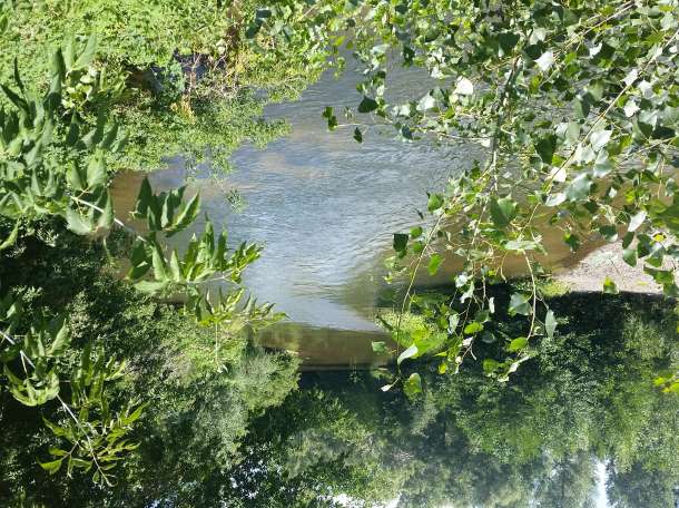 Срочно продам участок с домом на берегу р. Каргала, фотография 4