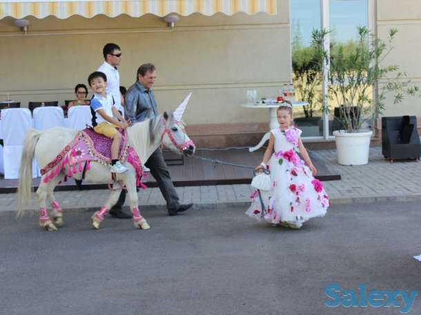 Машины, кареты, фотография 1