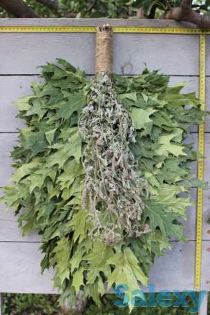 Премиальный банный Яр веник - канадский дуб с мятой, фотография 1