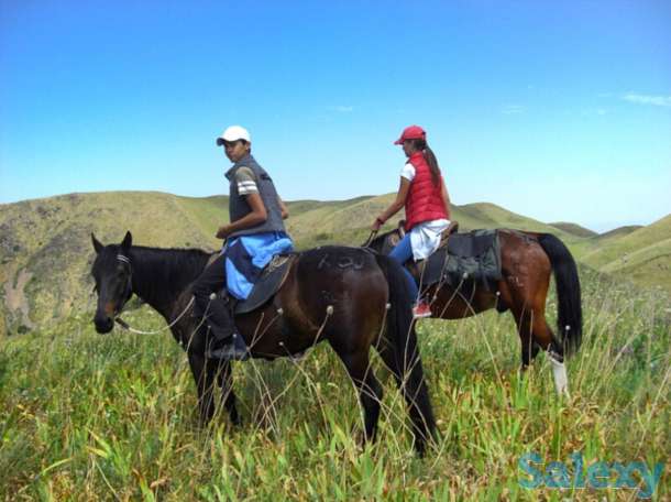 ГОРЯЧИЕ ИСТОЧНИКИ в оздоровительном комплексе