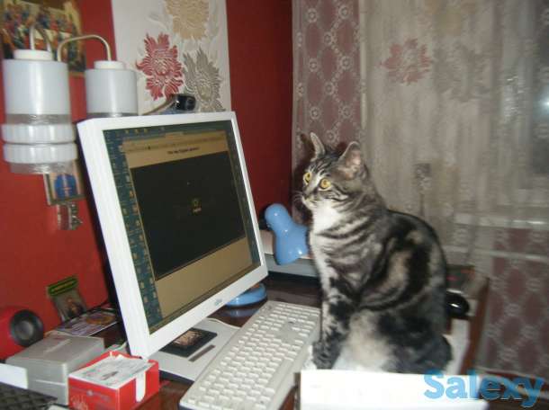 курсы, фотография 1