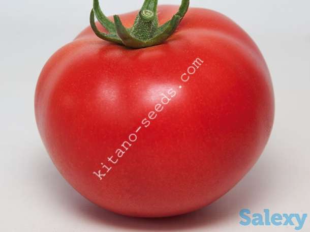 Семена томата KS 21 F1, KITANO SEEDS, фотография 1