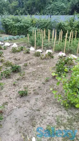 Дача 15 соток, Алматинская область, Талгарский район, с.о. Кендалинский, с. Кендала, с/т Медик-, фотография 20