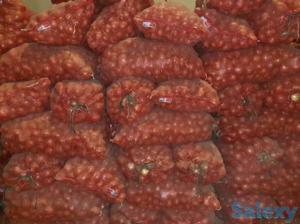 Продажа репчатого лука в больших объемах, урожай 2019 года, сортов «бурса- F1» и «братко F1», фотография 1