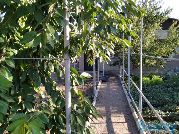 Продам дом, Мкр-н Шанырак-2, Жанкожа батыра, фотография 8