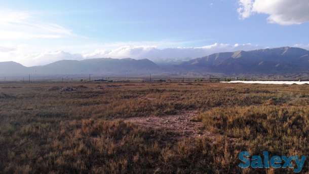 продается земельный участок на берегу оз. Ыссык-Куль(р-н Аэропорта),1,5 га, фотография 5