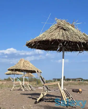 Аренда Юрт , Тапчанов, Лежаков на пляже Капчагай, фотография 5