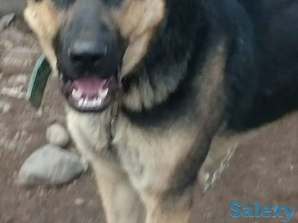 Продам вязку, фотография 1