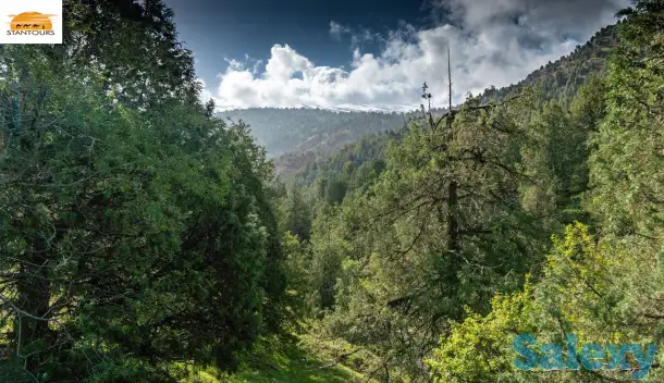 Классический тур по Узбекистану и путешествия / Uzbekistan Classical Tour & Travel, фотография 14