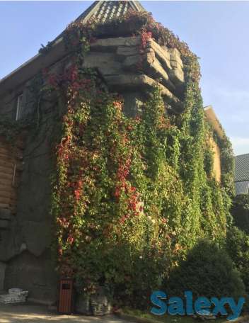 искусственный водопад, ландшафтный дизайн, скулптура, фонтан., фотография 6