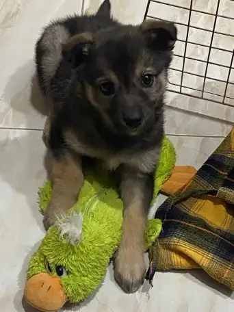 Забери меня к себе, Добрый человек, фотография 10