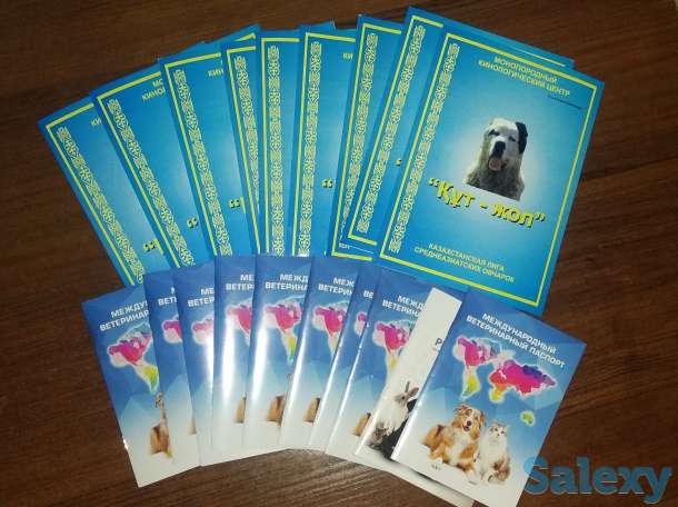 Продам щенков алабая, фотография 1