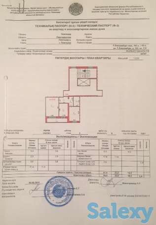 Продам, Розы Люксембург, фотография 1