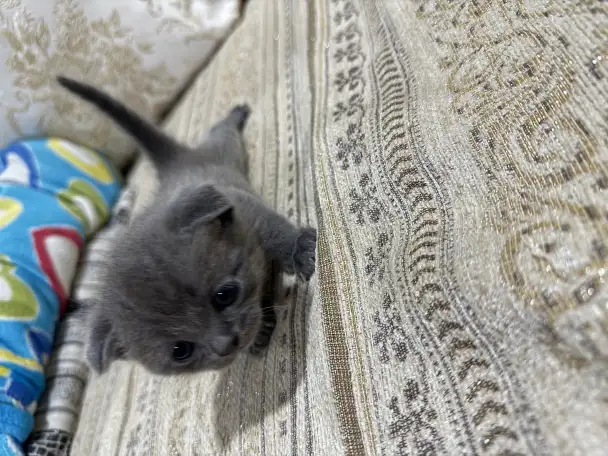 pavlenko100495icloud.com, фотография 2