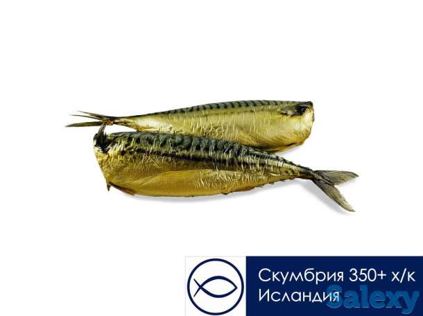 Копченая рыба / Вяленая рыба / Соленая рыба, фотография 2