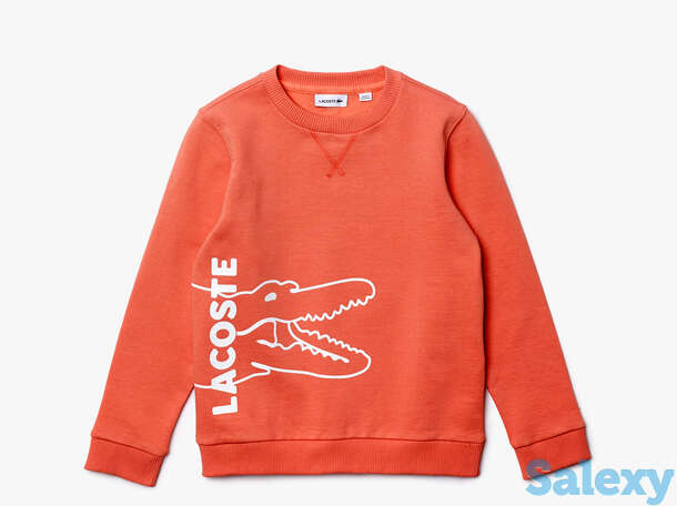 Хлопковая толстовка lacoste, фотография 1