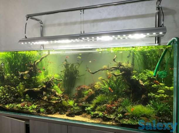 Аквариум изготовление в Алматы, фотография 3