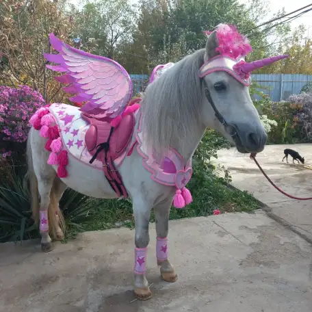 пони на Детский праздник, фотография 10