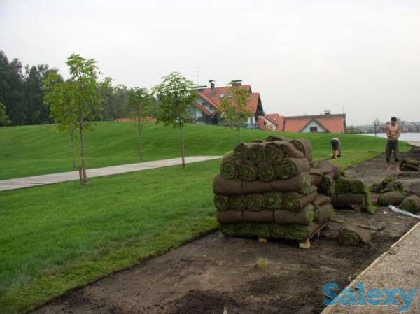 Укладка рулонного газона, фотография 1