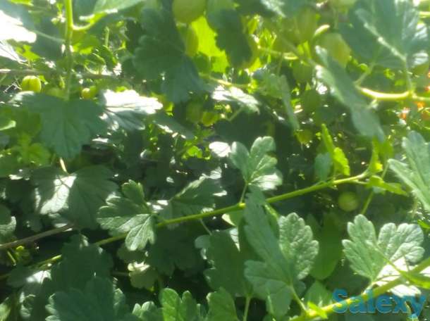 2х этажный дом в живописном месте России, фотография 10