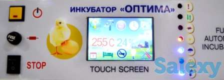 Инкубатор на 3000 куриных яиц Оптима, фотография 2