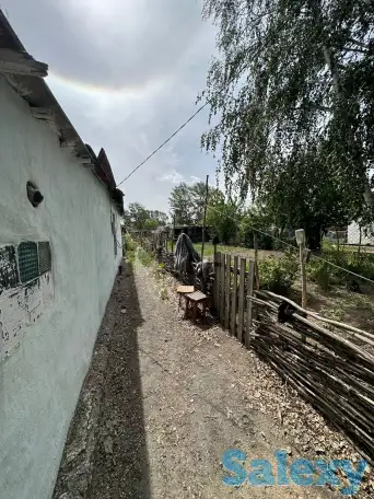 Продаю дом в живописном месте, Бухар-Жирауский район.  Село Кызылкайын. Березняки, фотография 10