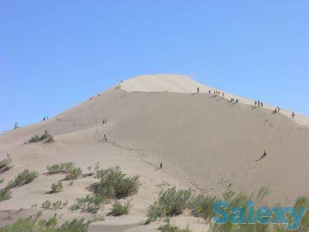 Экскурсии на Поющий Бархан от Туроператора 