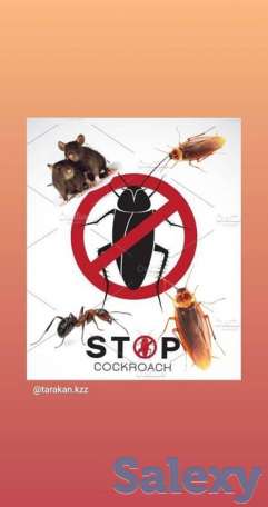 Избавим от тараканов навсегда, фотография 2