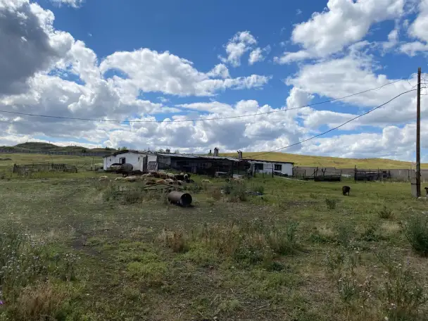 Продам крестьянское хозяйство 36 га, ферма, дом, гараж, летняя кухня,баня., фотография 12