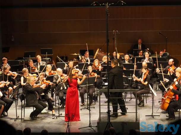 Учитель скрипки, фотография 1