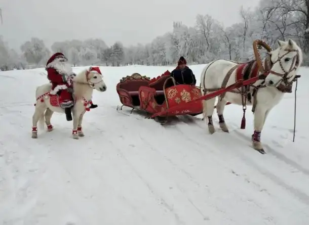 аренда кареты, фотография 14