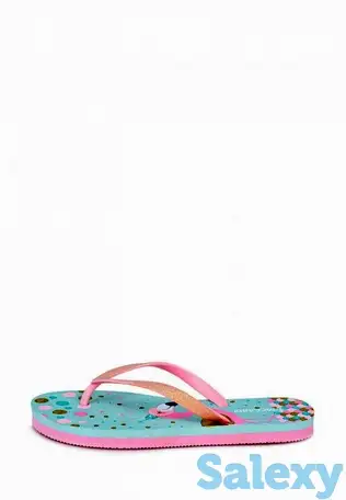 Сланцы t.taccardi, фотография 1