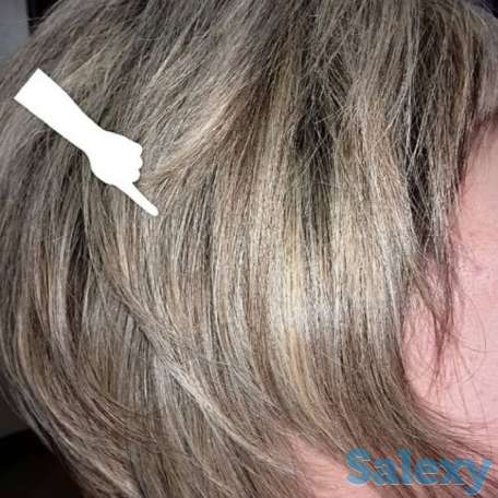 Консультация!!! Бесплатно, фотография 1