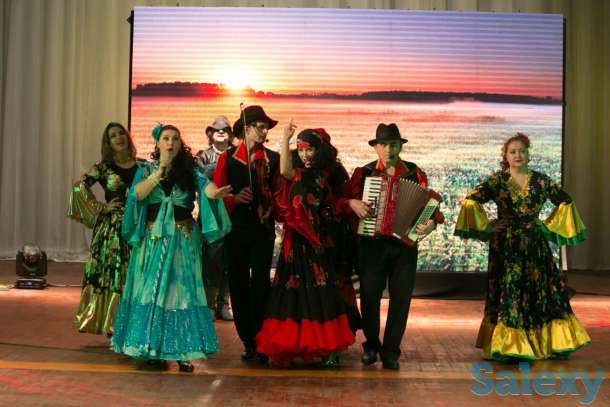 Аккордеонист/Баянист/Музыкант/Ведущий/Артисты/Цыгане, фотография 5